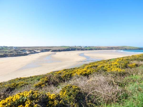 Saltwater Leilighet New Quay Eksteriør bilde
