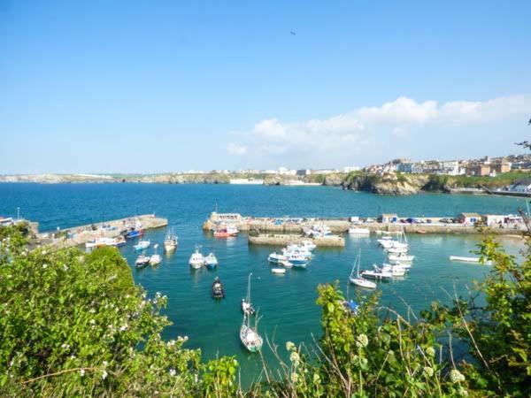 Saltwater Leilighet New Quay Eksteriør bilde